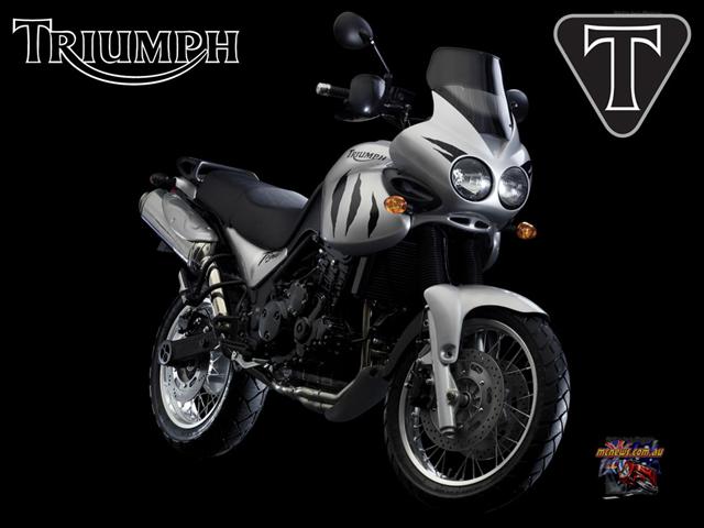 2003 Aluminum Silver Triumph Tiger